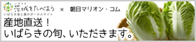 茨城県プレゼント特集