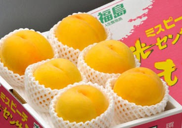 【豊洲市場うまいもん】夏休み特集！第１弾 福島県産の白桃・黄桃セット